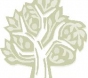 Community Wellness: McDiarmid is ‘taking our front door to the schools’